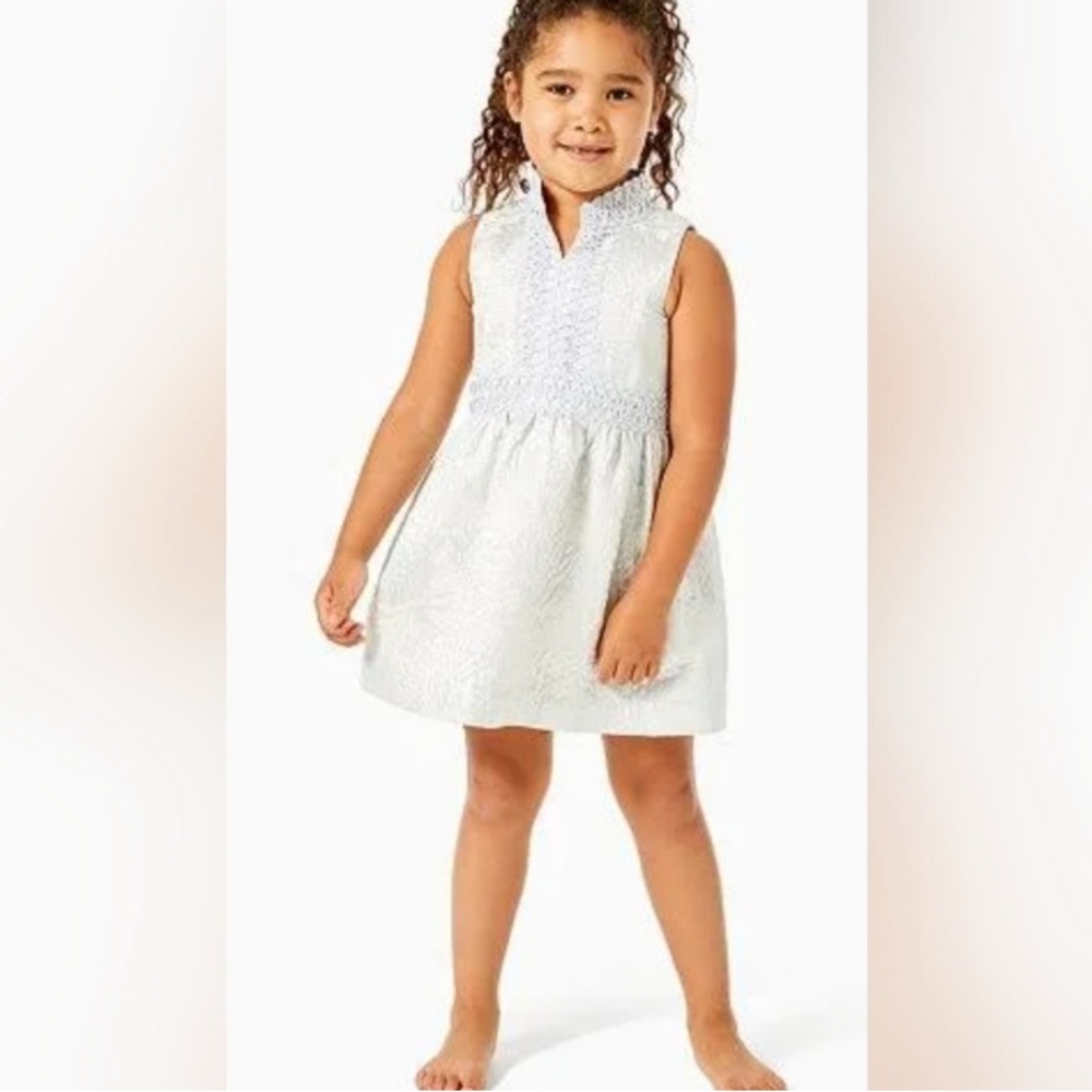 Lilly Pulitzer Franci in White Silver Metallic Full Bloom Brocade Dress 8